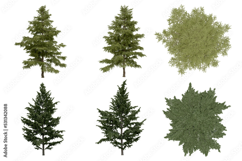 3d rendering of Cedrus Deodara PNG vegetation tree for compositing. no backround. 3d rendering of Cedrus Deodara PNG vegetation tree for compositing. no backround.