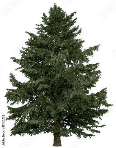 3d rendering of  Cedrus Deodara PNG vegetation tree for compositing. no backround.