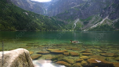 Morskie Oko (Sea Eye) is largest and fourth-deepest lake in Tatra Mountains. It is located deep within Tatra National Park, Poland, in Rybi Potok (Fish Brook) Valley, at base of Mieguszowiecki Summits photo