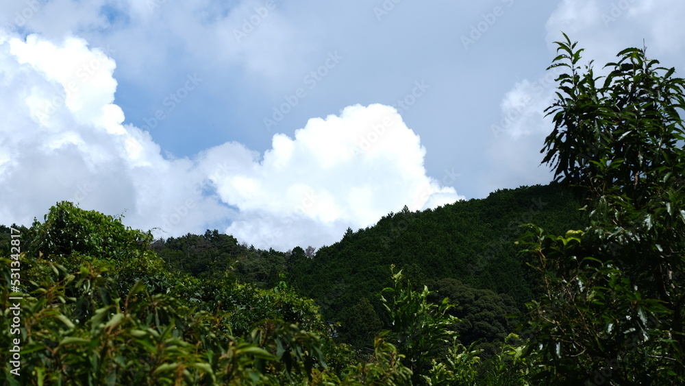 田舎の風景