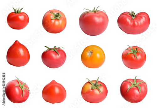 Set with different whole ripe tomatoes on white background