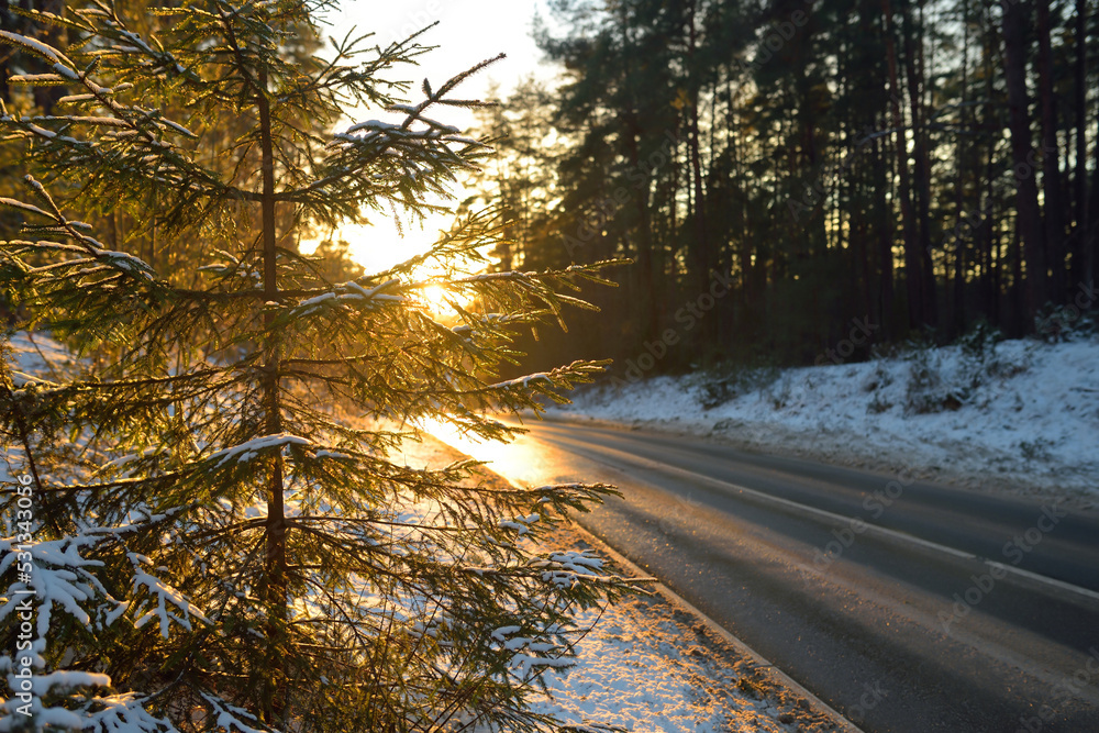 Beautiful view of snow covered forest. Rime ice and hoar frost covering trees. Scenic winter landscape near Vilnius, Lithuania. Beautiful view of snow covered forest. Rime ice and hoar frost covering trees. Scenic winter landscape near Vilnius, Lithuania.