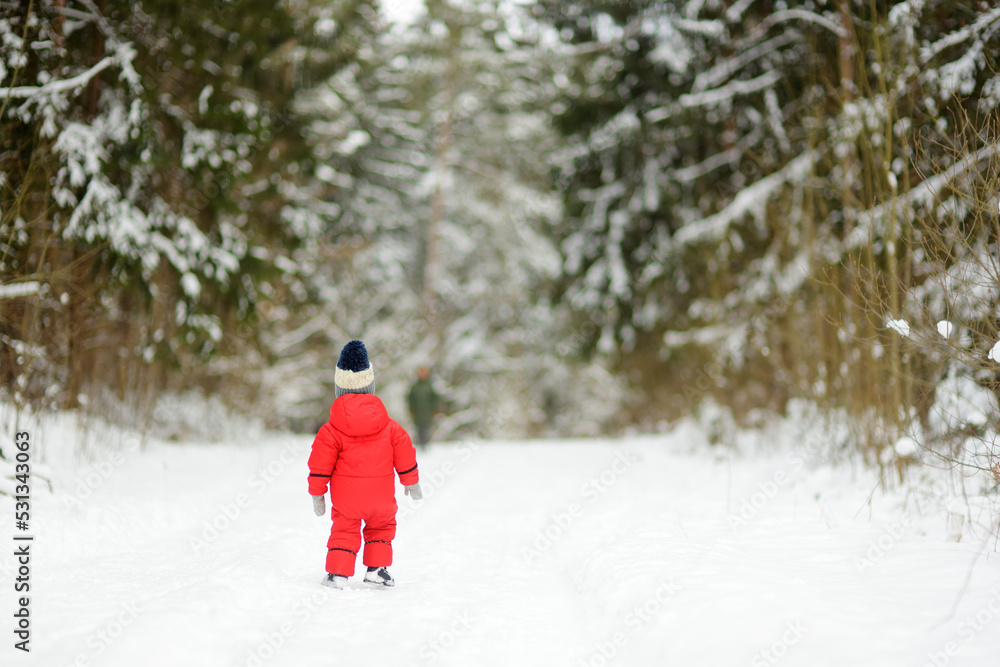Cute toddler boy having fun on a walk in snow covered pine forest on chilly winter day. Child exploring nature. Winter activities for kids.