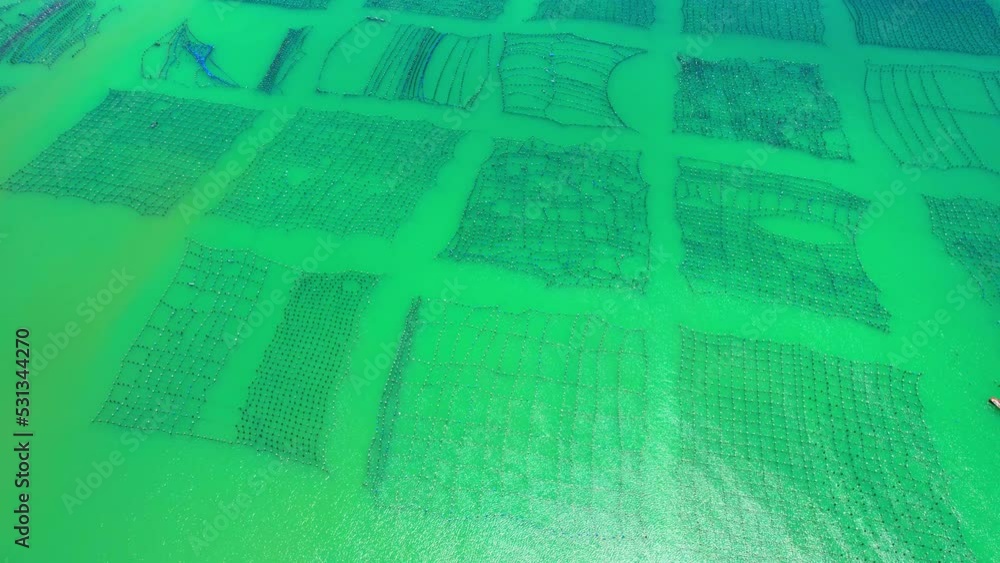 Drones are flying over a mussel farm, a floating tank used to trap