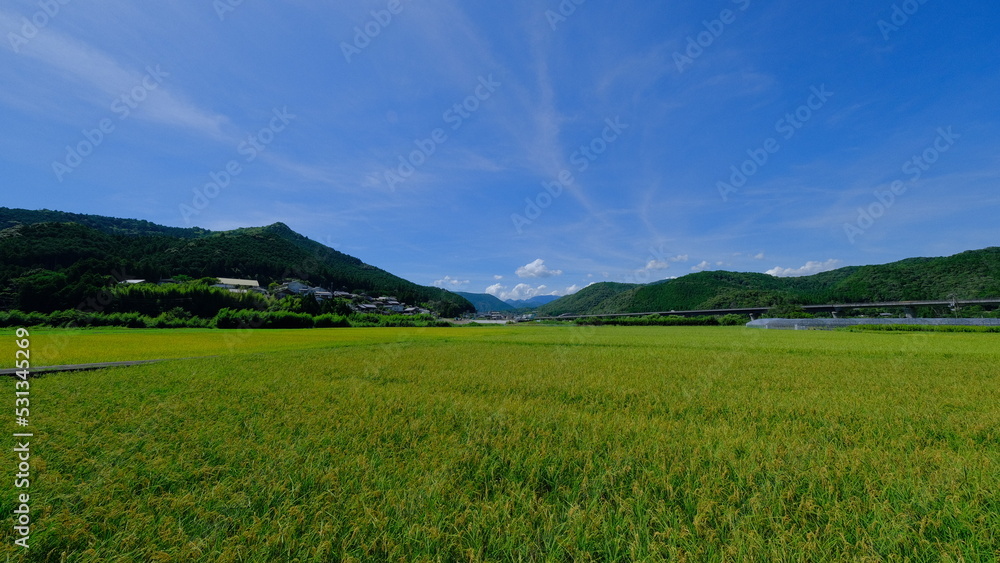 田舎の風景