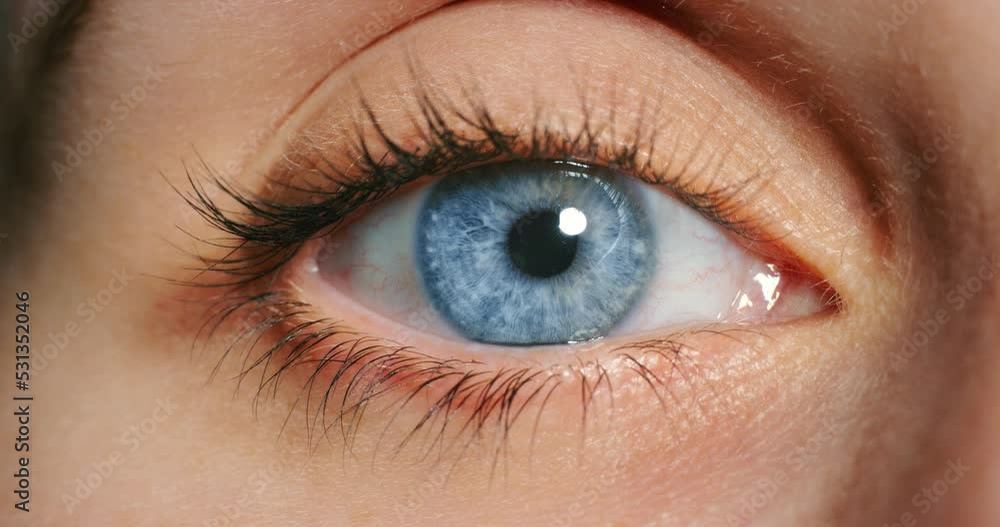 Woman open blue eye, in close up showing veins and iris movement at optical test or exam. Lady in medical examination with eyeball in macro view, after opening eyelid for health inspection of eyes. Woman open blue eye, in close up showing veins and iris movement at optical test or exam. Lady in medical examination with eyeball in macro view, after opening eyelid for health inspection of eyes.