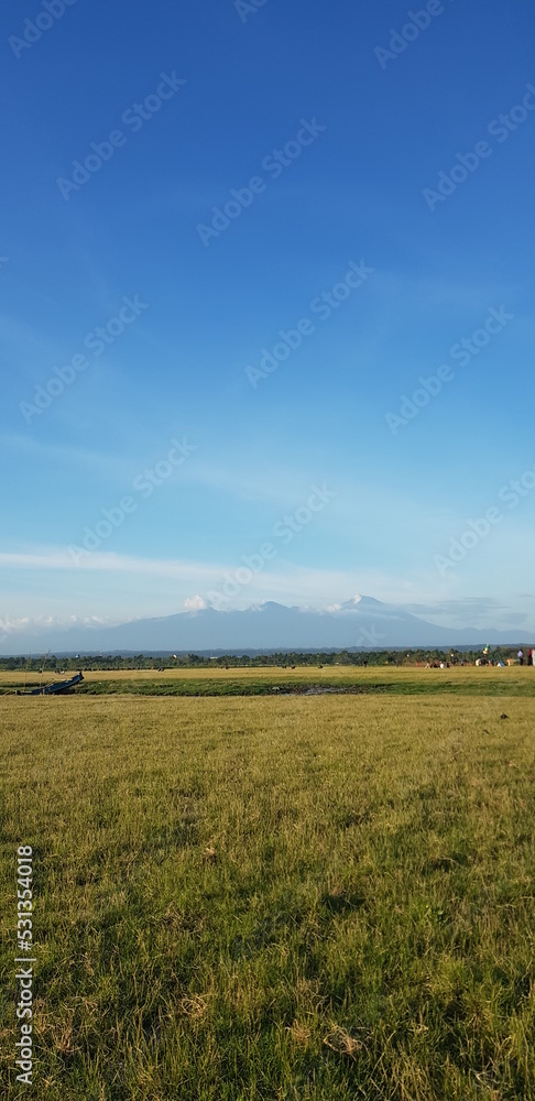 field and blue sky view in lombok 