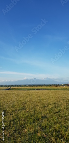 field and blue sky view in lombok 