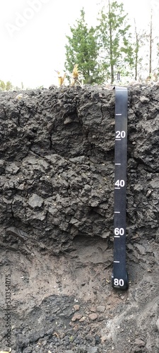 The way of the soils 