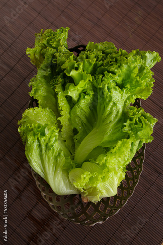 fresh green lettuce