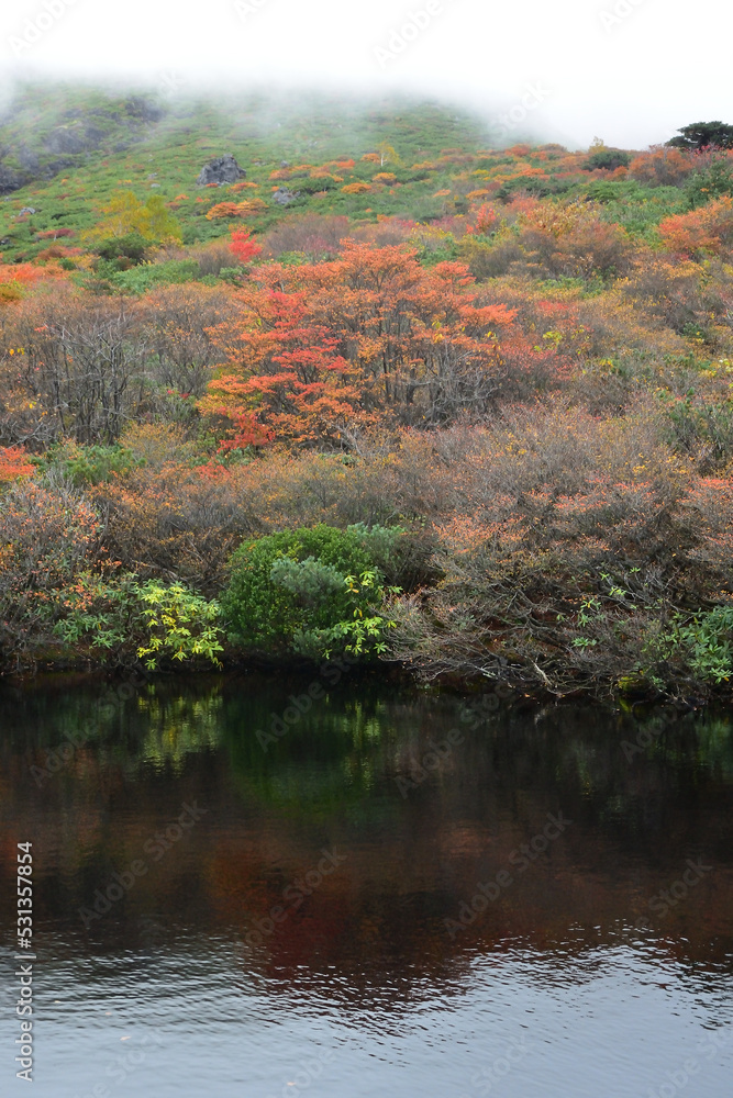 Climbing mountain in autumn, Nasu, Tochigi, Japan Climbing mountain in autumn, Nasu, Tochigi, Japan