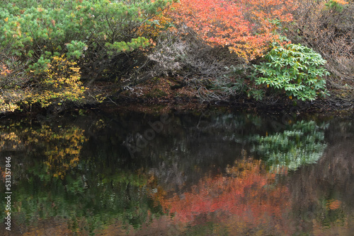 Climbing mountain in autumn  Nasu  Tochigi  Japan