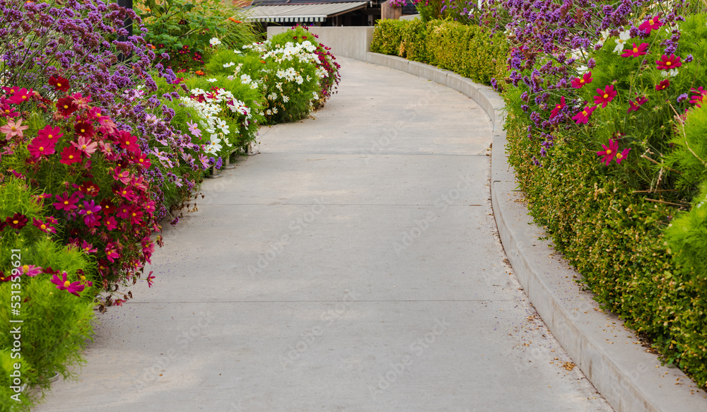 Walkway in flower garden in summer time. View of Colourful Flowerbeds in a good care maintenance landscapes and walkway