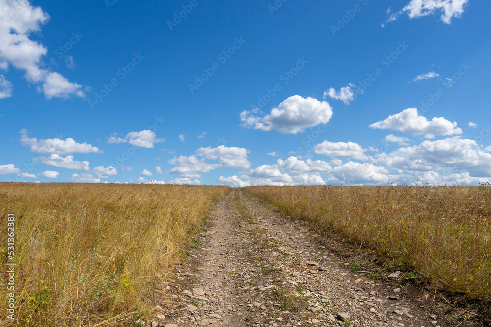 Dirt road in the middle of a meadow with dry grass and a blue sky with white clouds.