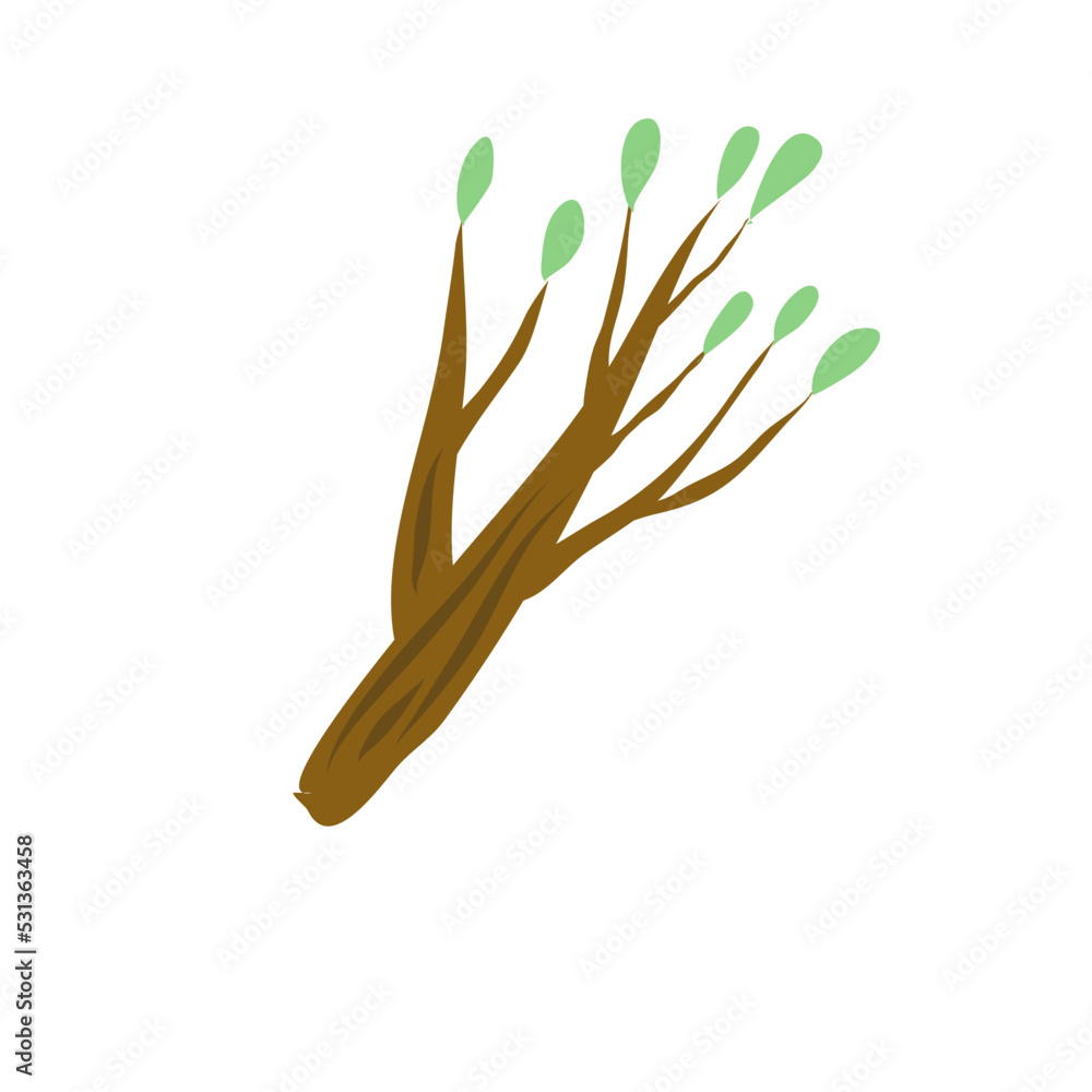 Tree branch twigs nature Tree branch twigs nature