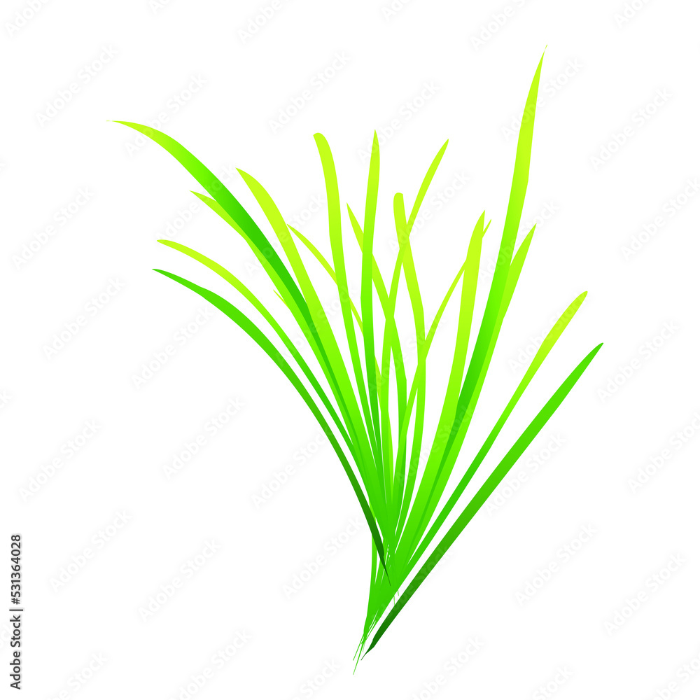 Green grass leaf