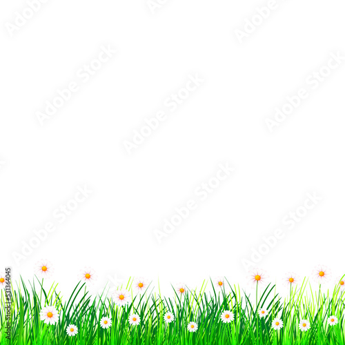 The flower and grass meadow