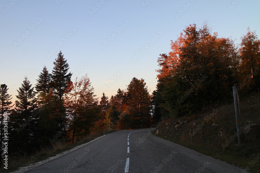 Road in autumn. Driving through the forest during fall season. Orange, red autumn leaves. 