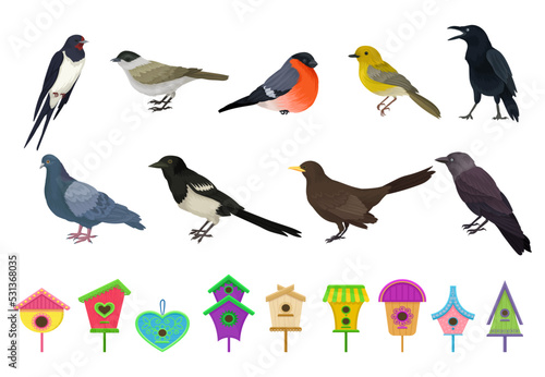 Different Feathered Birds and Nesting Box or Birdhouse Big Vector Set