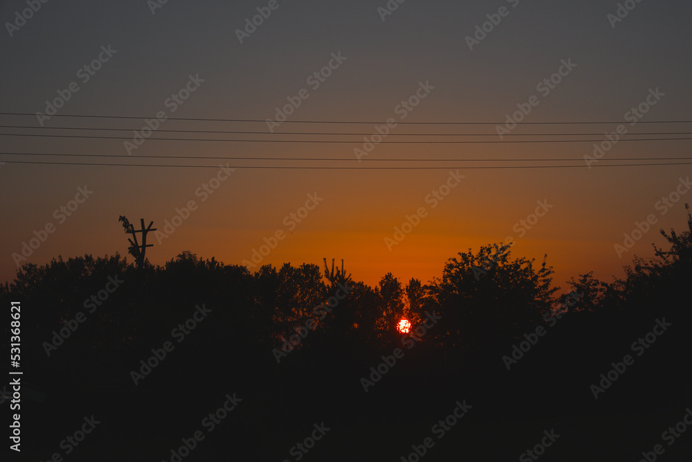 Sunset in countryside in Europe village, black silhouette of bushes and trees, sundown, late evening, early night, summer