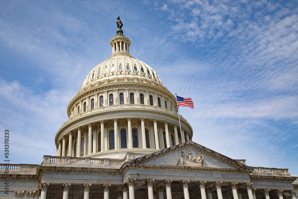 Obraz premium US Capitol