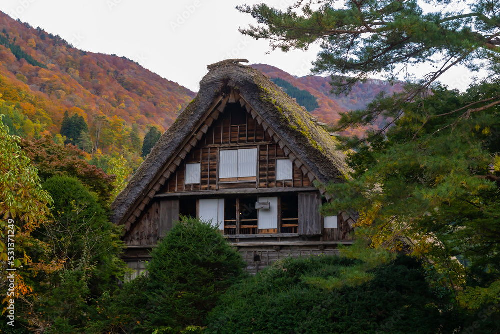 House in old town Shirakawako