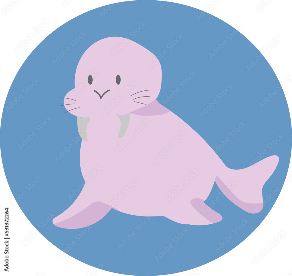 Cute cartoon walrus vector, marine animal vector illustration. Cute cartoon walrus vector, marine animal vector illustration.