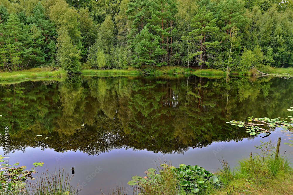 Schöne Wasserspiegelung auf einem Natursee Schöne Wasserspiegelung auf einem Natursee