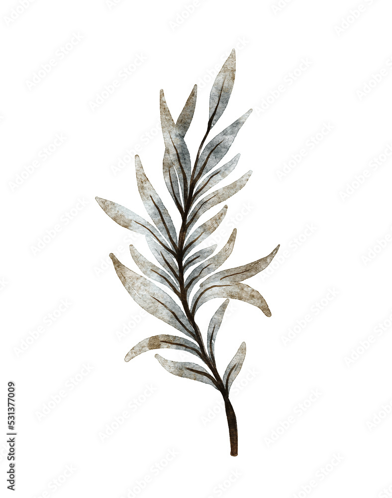 Watercolor leaf illustration Watercolor leaf illustration
