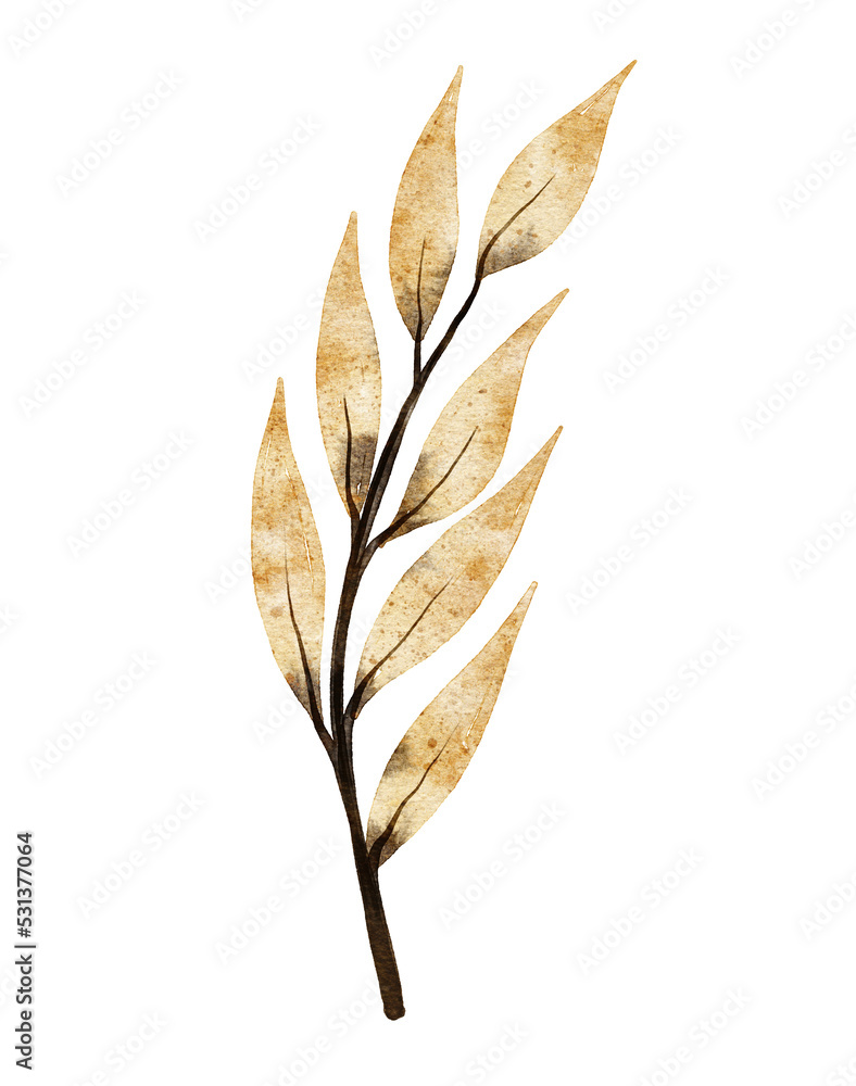 Watercolor leaf illustration Watercolor leaf illustration