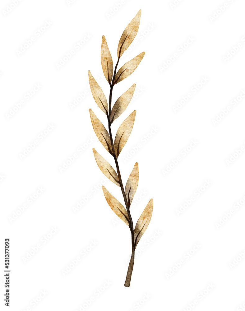 Watercolor leaf illustration Watercolor leaf illustration