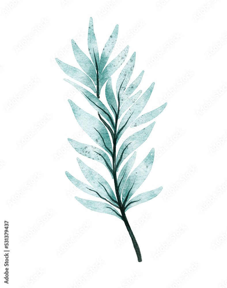 Fototapeta premium Watercolor leaf illustration 
