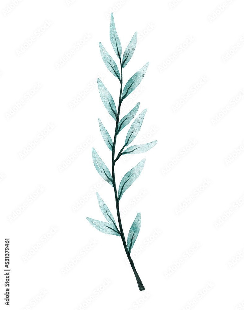 Watercolor leaf illustration Watercolor leaf illustration