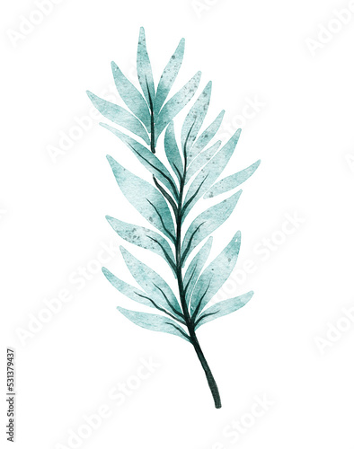 Watercolor leaf illustration 