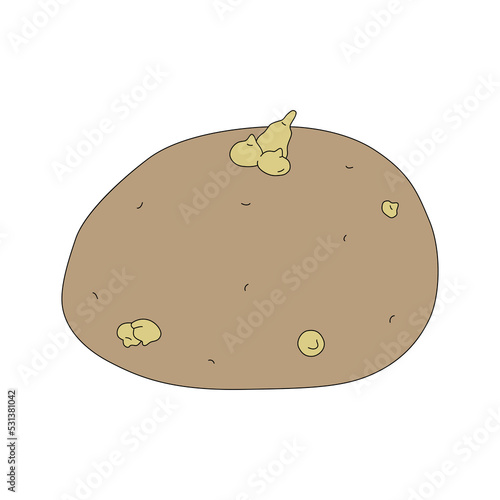 Vector illustration of potato with sprouts. Ripe fresh vegetable in cartoon style photo