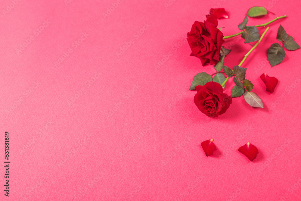 roses on pink paper background roses on pink paper background