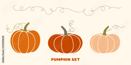 Set of pumpkins. Vector illustration of autumn ripe cozy squash. Thanksgiving day background. Hygge time. Halloween party kitchen linen decor with cartoon pumpkin.