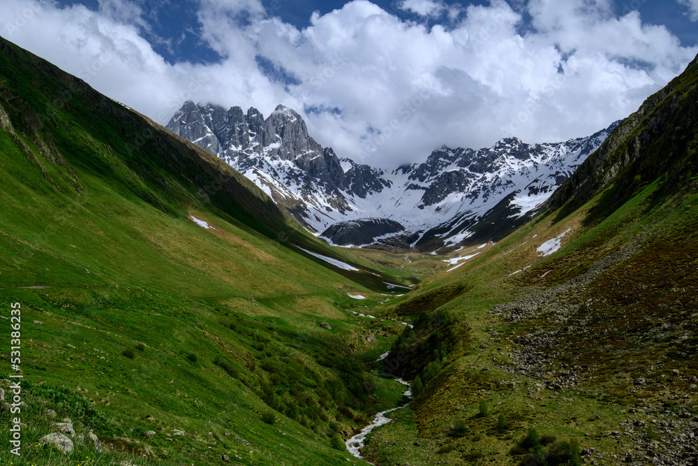 swiss mountains in the summer