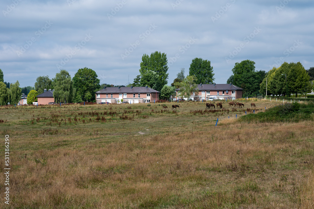 Courcelles, Wallon Region, Belgium,  Agriculture field and farmhouses at the Wallon countryside