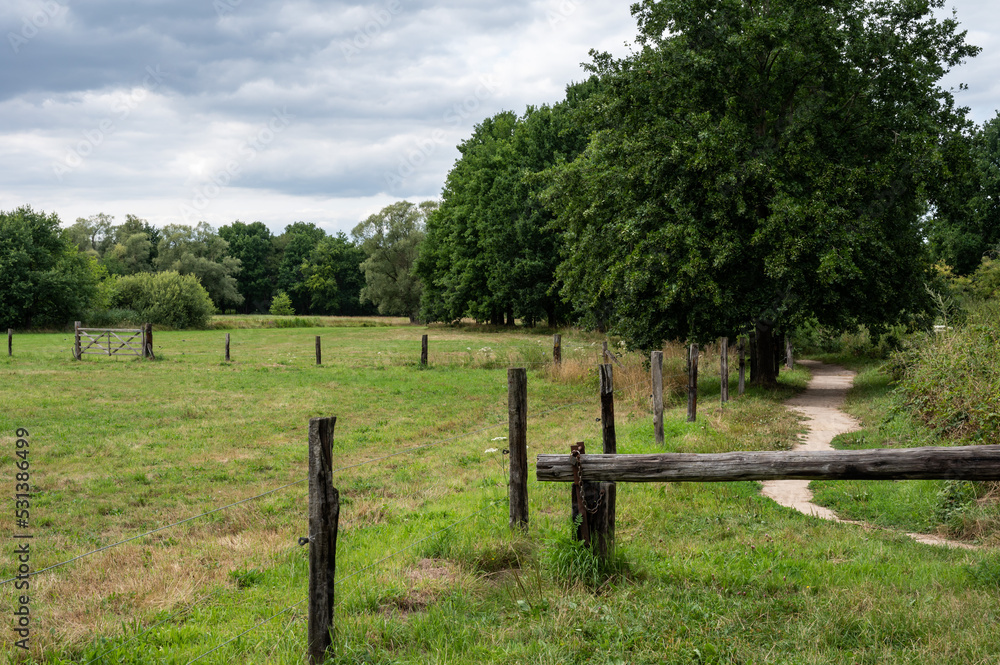 Green meadows and walking trail through the Doode Beemde nature reserve, Belgium