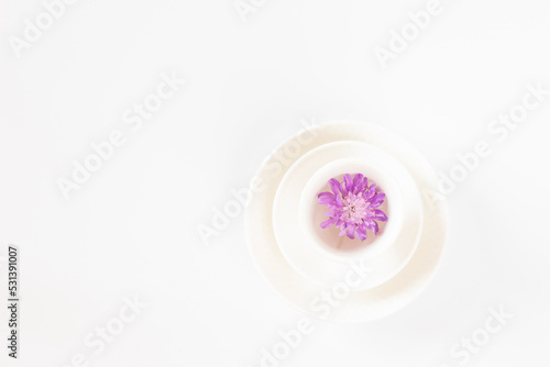 Round shape pattern with a natural purple flower.