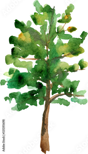 Watercolor green tree illustration on light background. Watercolor painting.