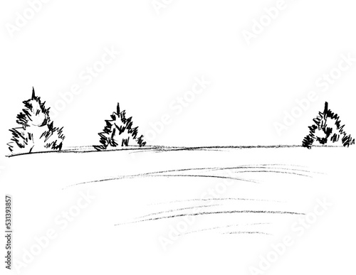 Landscape with small Christmas trees on the horizon