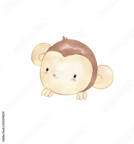 Photography Watercolor monkey illustration for kids