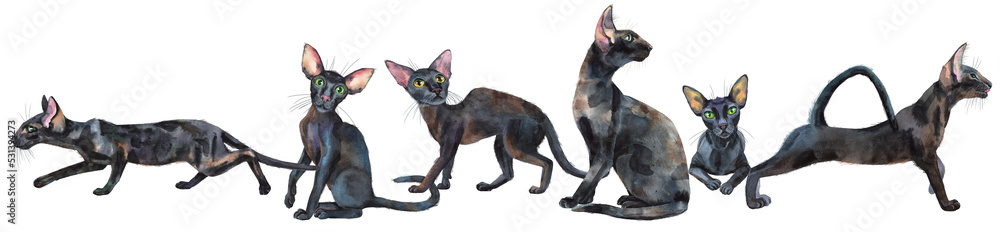 Watercolor border of oriental black cats. Painting animal illustration