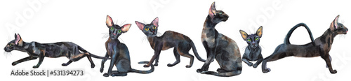 Watercolor border of oriental black cats. Painting animal illustration © Andreichenko