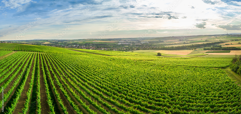 Aerial / Drone panorama of vineyard and agricultural fields in Rheinhessen Germany close to Nieder-Olm with setting sun	