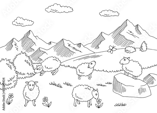 Funny sheep feeding grass in a meadow in the mountains graphic black white sketch illustration vector