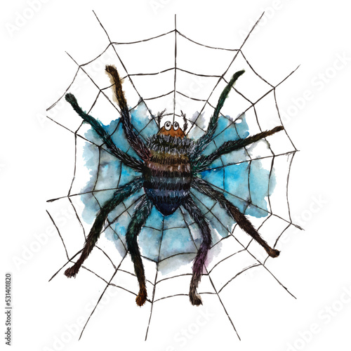 Spider in watercolor and liner © Ekaterina Tyumeneva
