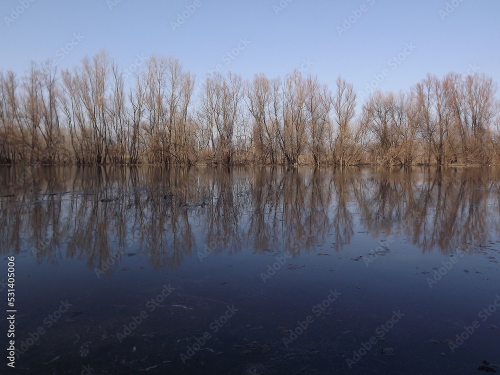 Swampy autumn, sunny landscape. A panoramic view of the marsh in the autumn sunny period of the day. Swampy autumn, sunny landscape. A panoramic view of the marsh in the autumn sunny period of the day.